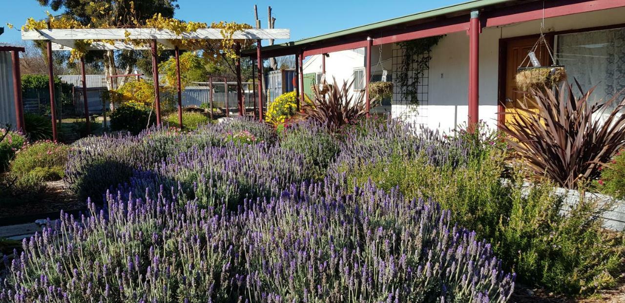 Clunes Motel Bagian luar foto